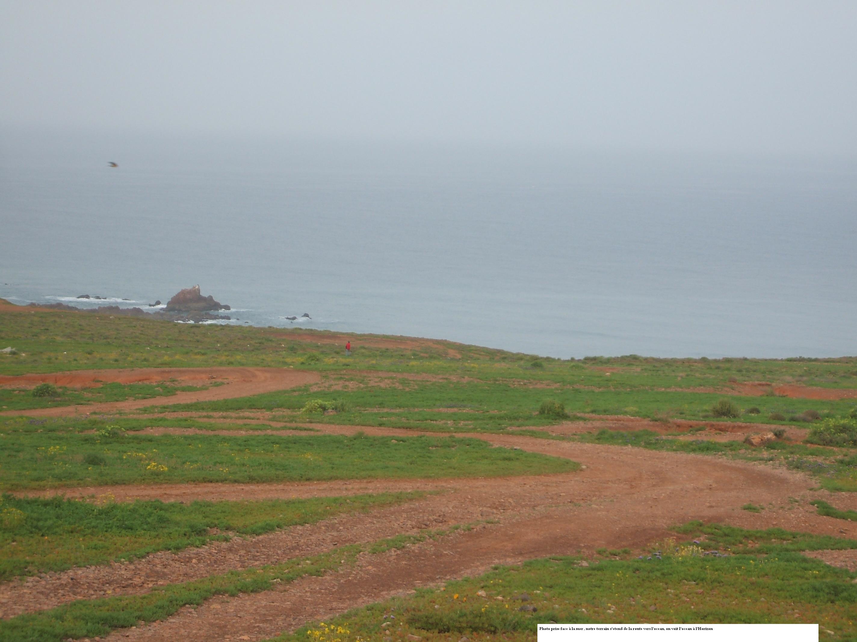 Terrain à vendre à Sidi ifni