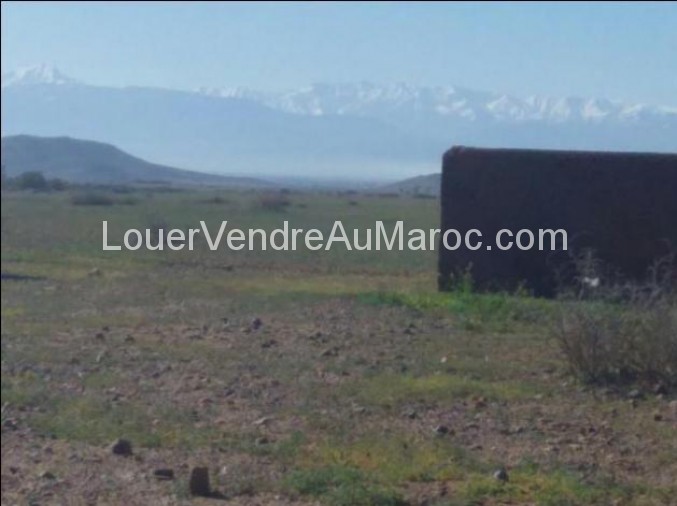 Terrain à vendre à Marrakech