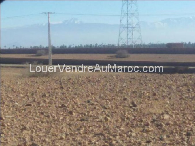 Terrain à vendre à Marrakech