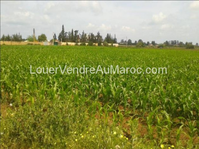 Terrain à vendre à Casablanca