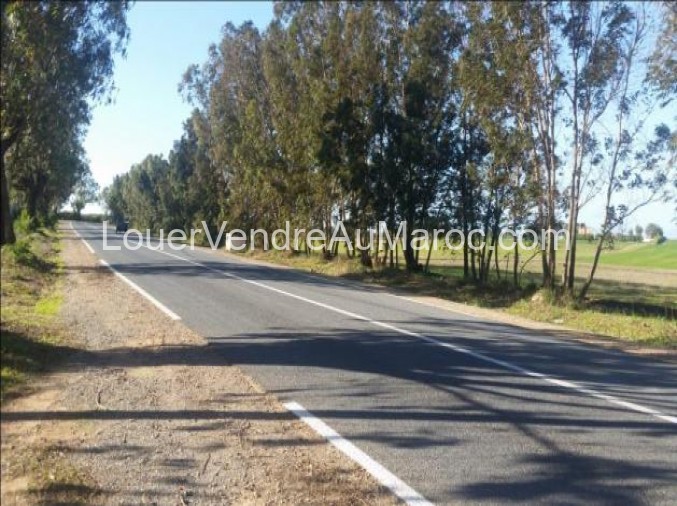 Terrain à vendre à Casablanca