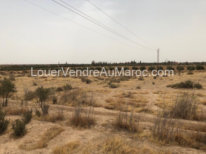 Terrain à vendre à Marrakech